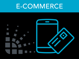bv_course_ecommerce_